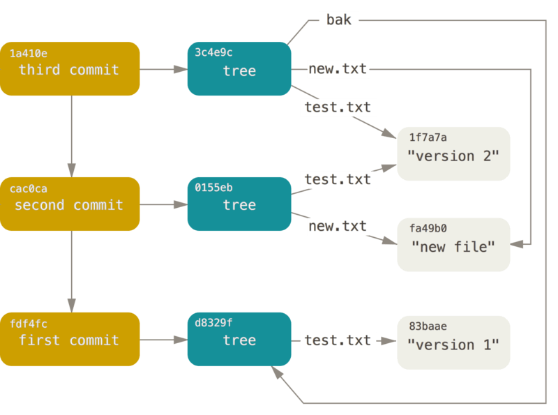Diagram of Git's Hashing Model